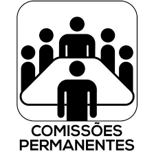 CÂMARA MUNICIPAL DE MACAÍBA, CRIA COMISSÃO PERMANENTES