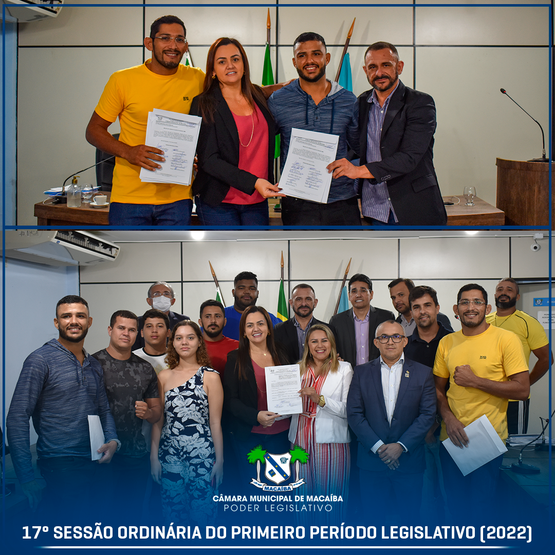 17ª Sessão Ordinária do Primeiro Período Legislativo