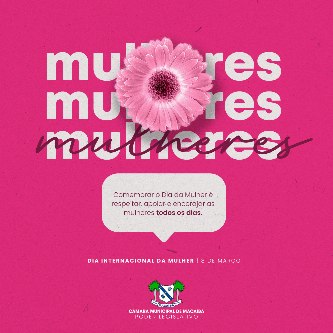 DIA INTERNACIONAL DA MULHER