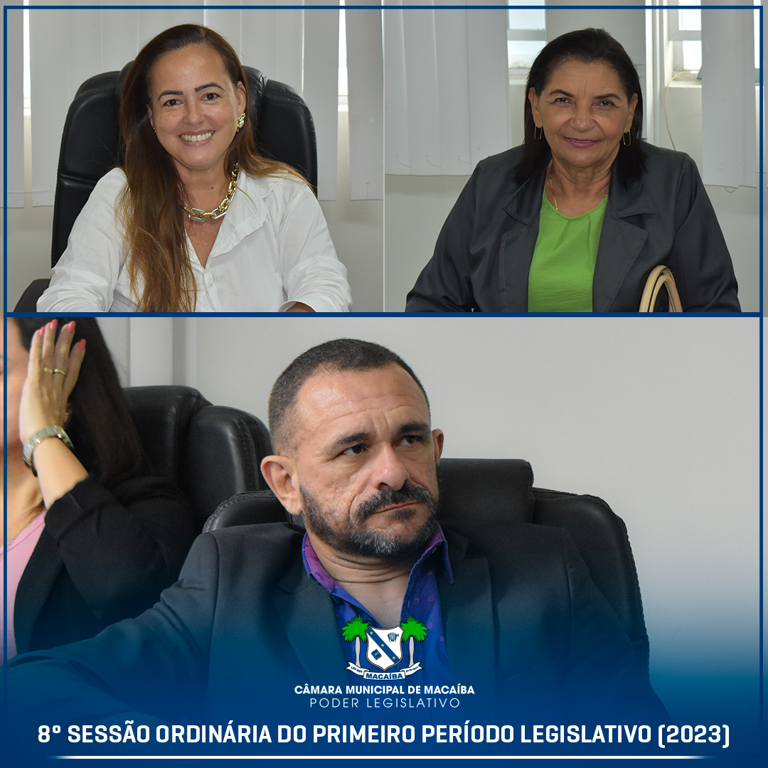 8ª Sessão Ordinária do 1º Período Legislativo 2023
