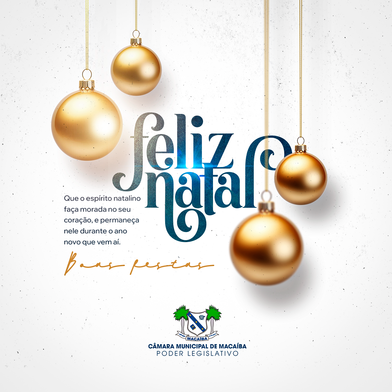 A Casa Legislativa deseja a todos um Feliz Natal!